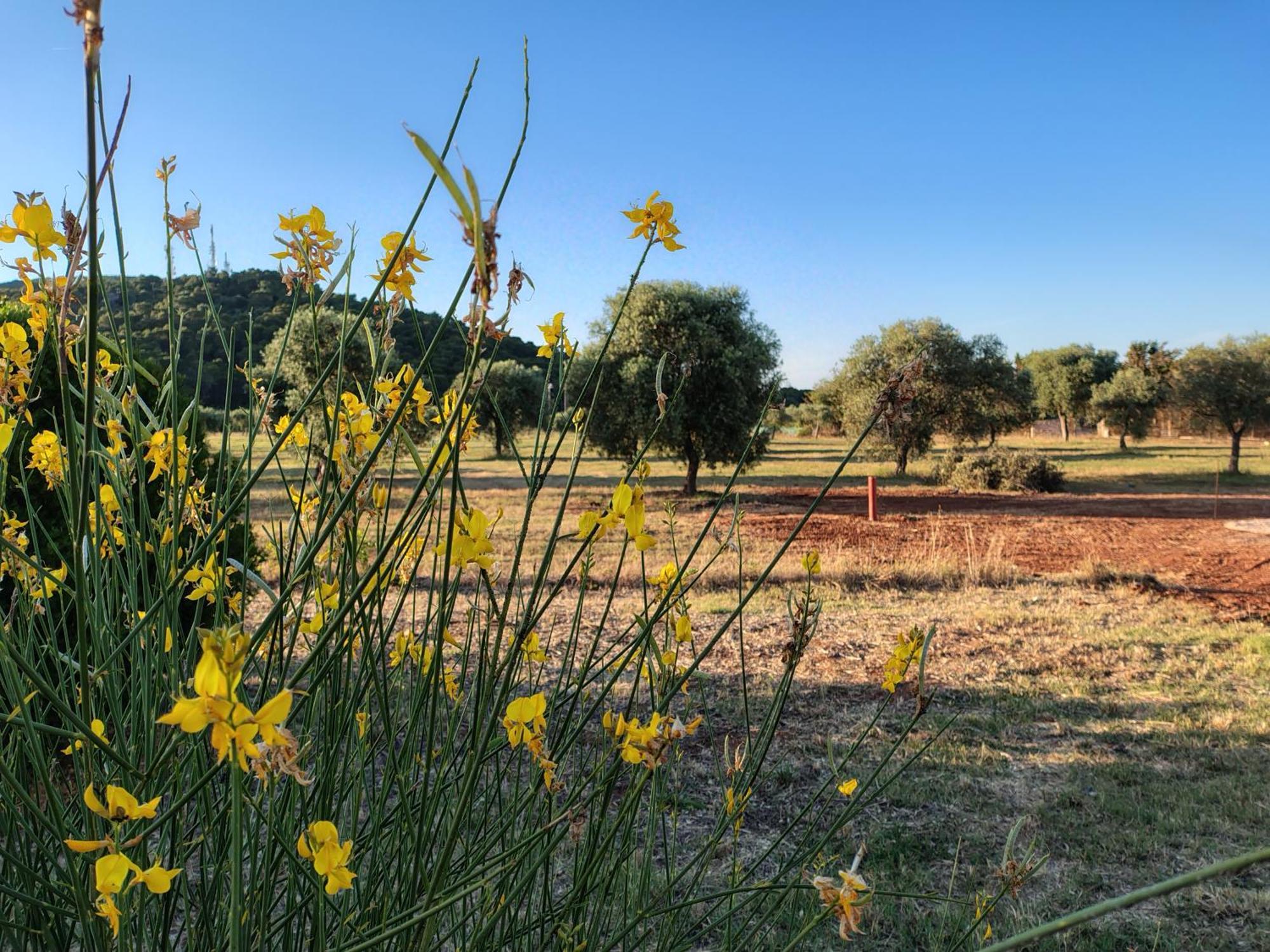 Bombarde Natural House Alghero